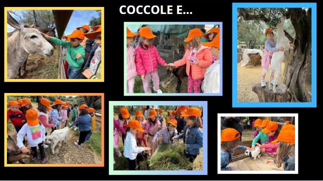 Coccole e apprendimento: la nascita di Anselmo alla Fattoria