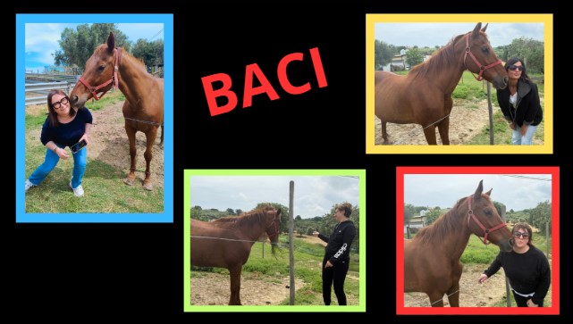 Coccole e apprendimento: la nascita di Anselmo alla Fattoria