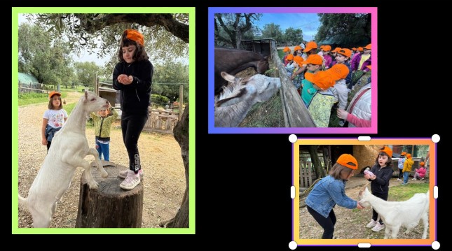 Coccole e apprendimento: la nascita di Anselmo alla Fattoria