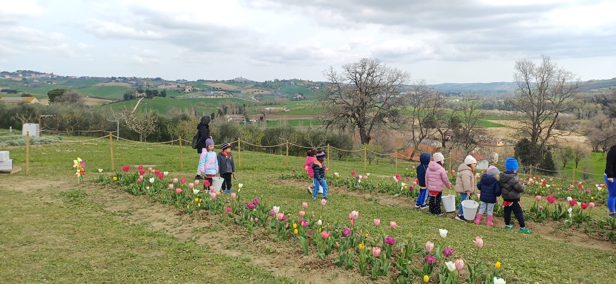 La Collinetta dei Tulipani