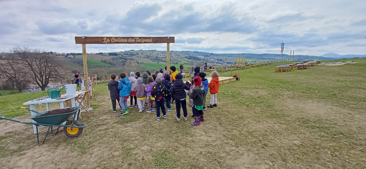 La Collinetta dei Tulipani