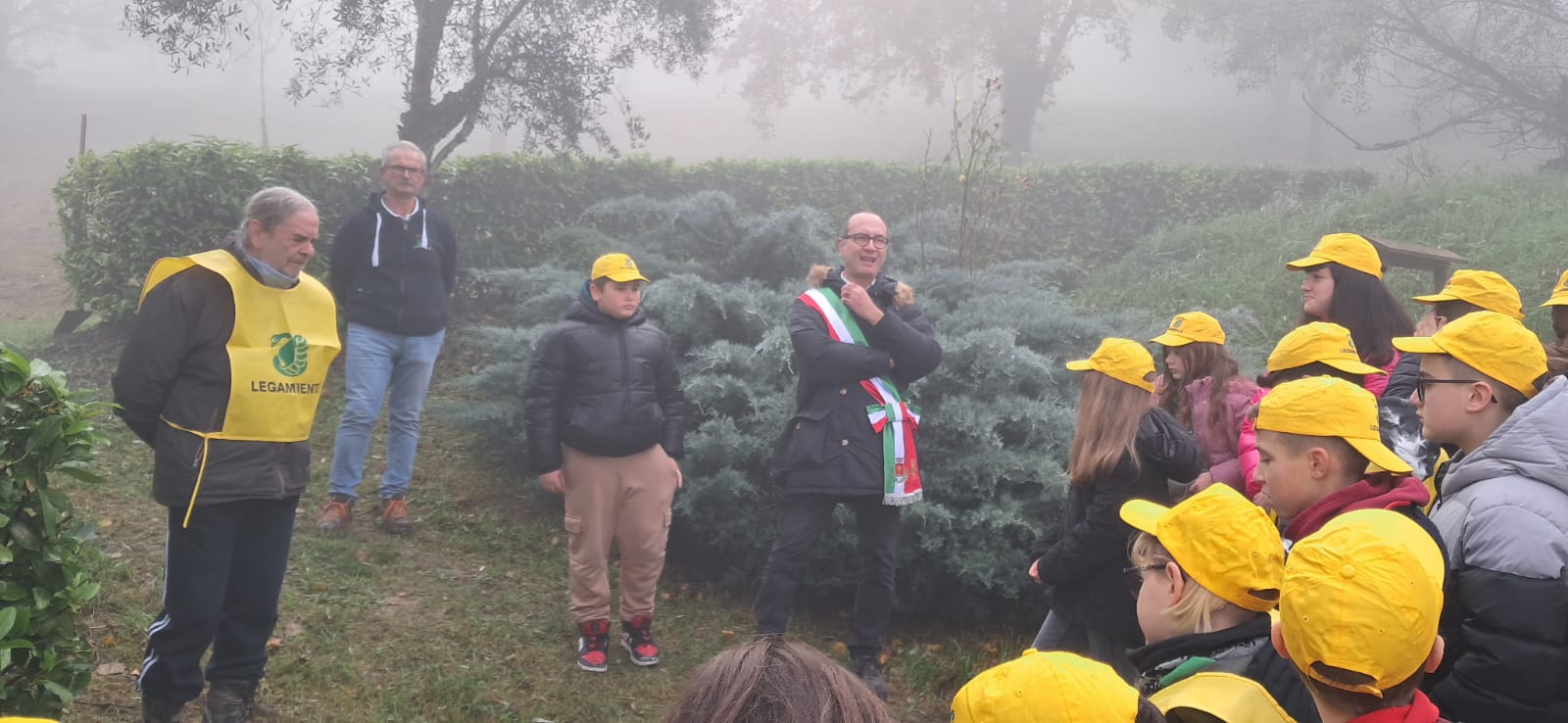 Festa dell'albero