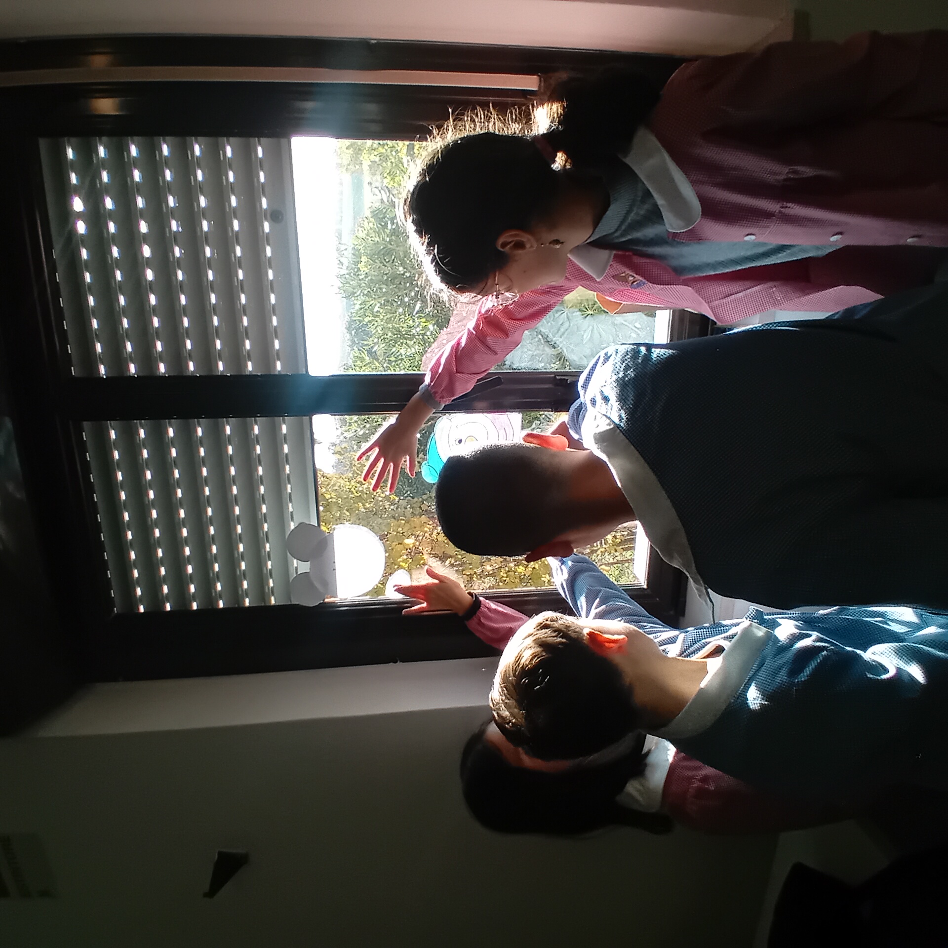 Primaria Serra de' Conti