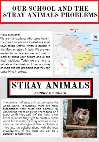 You’re an animal