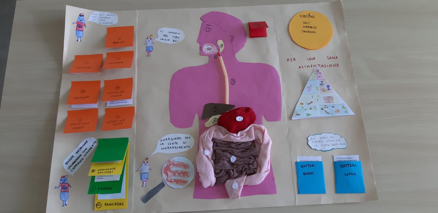 Scuole in fermento
