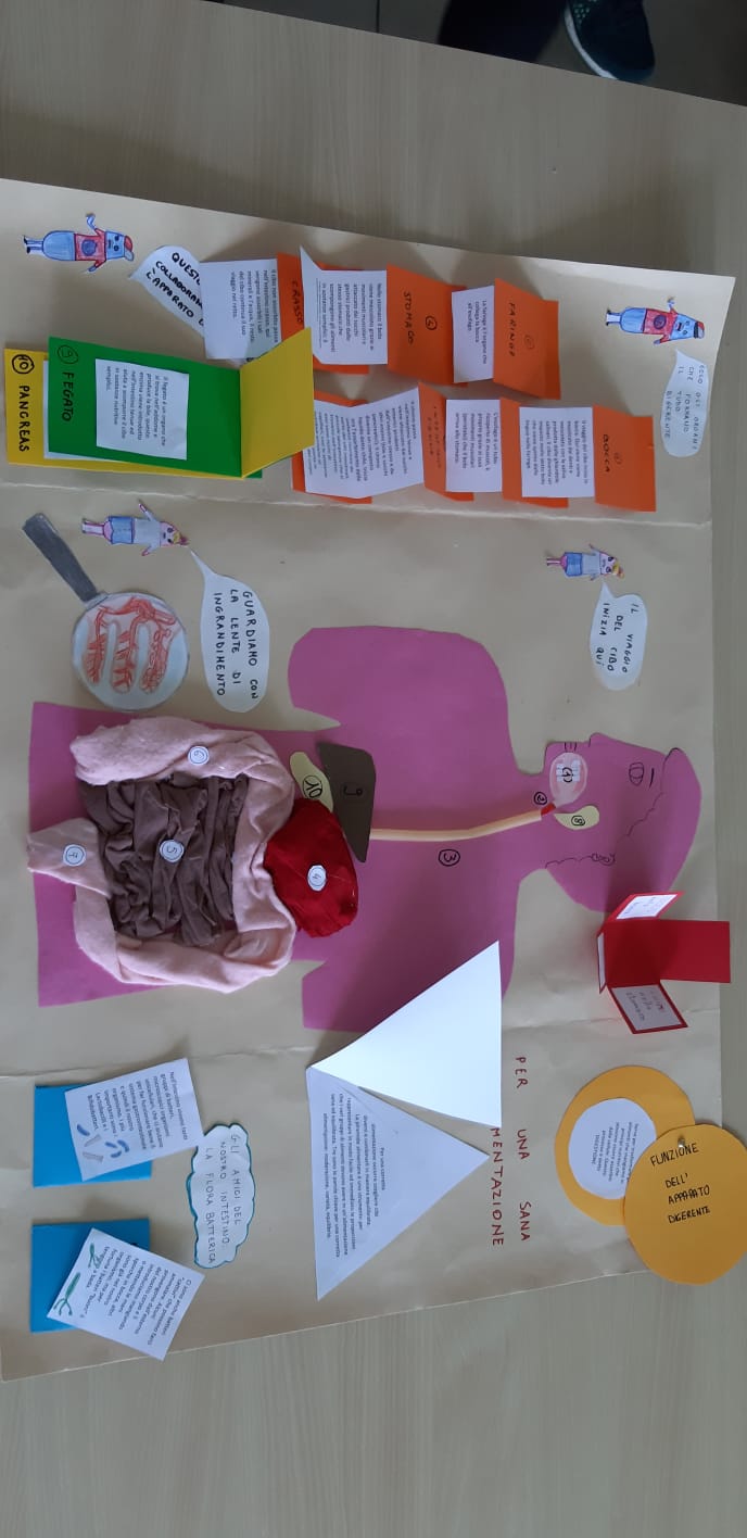 Scuole in fermento