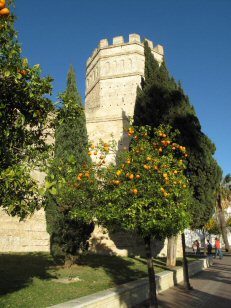 jerez6a