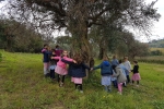 Scuola primaria di Montecarotto: la raccolta delle olive