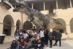 Scuola secondaria: i ragazzi delle classi seconde paleontologi per un giorno a Gubbio