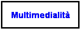 Casella di testo: Multimedialità